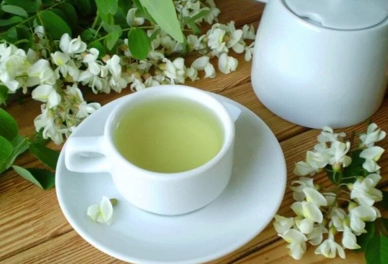 Infuzie de salcâm